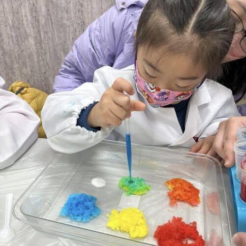 Tr.Vivi親子科學-聖誕雪花天氣瓶DIY